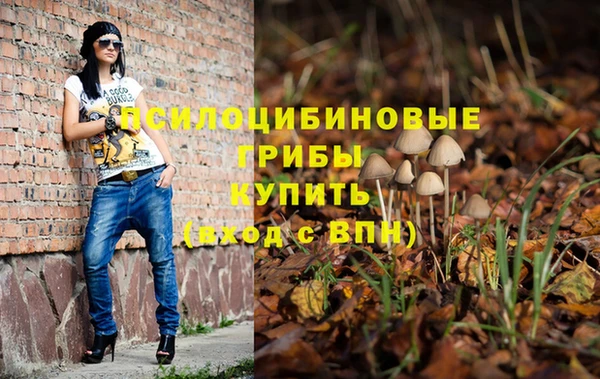 ешки Богданович